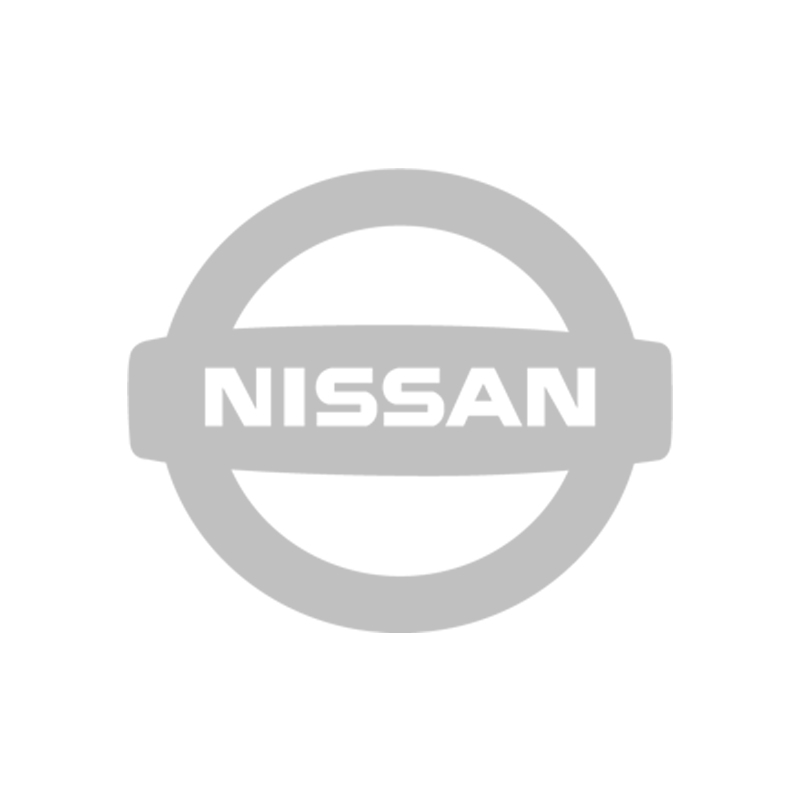 Laadpaal Nissan